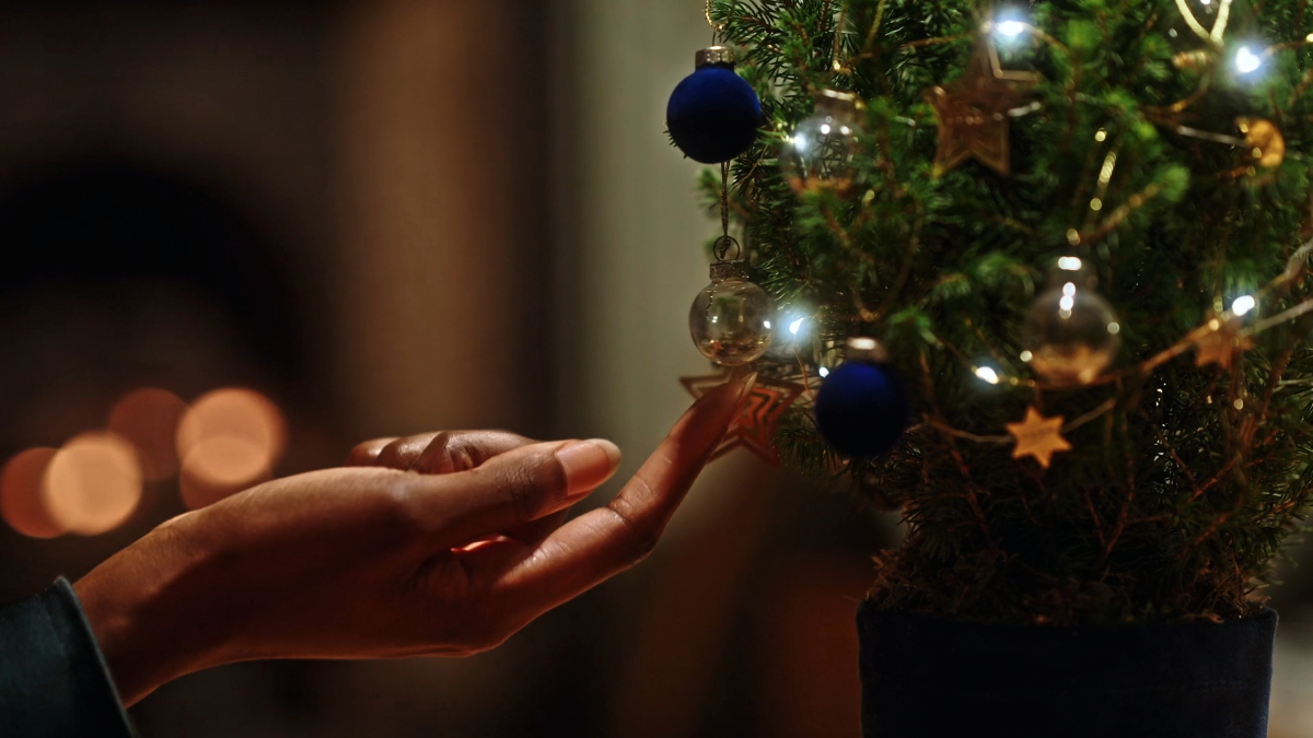 Tiny Trees 2024 - image 2