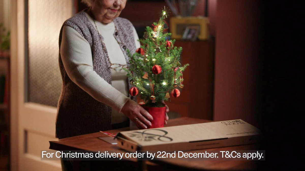 Tiny Trees 2025 - image 5